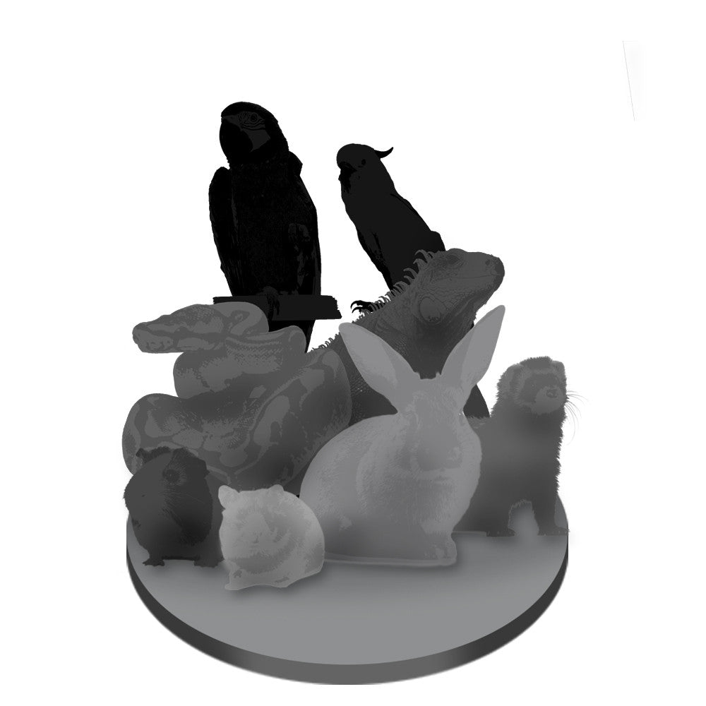 Custom Pet Bobblehead - Personalized Pet Figure